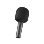 karaoke microphone